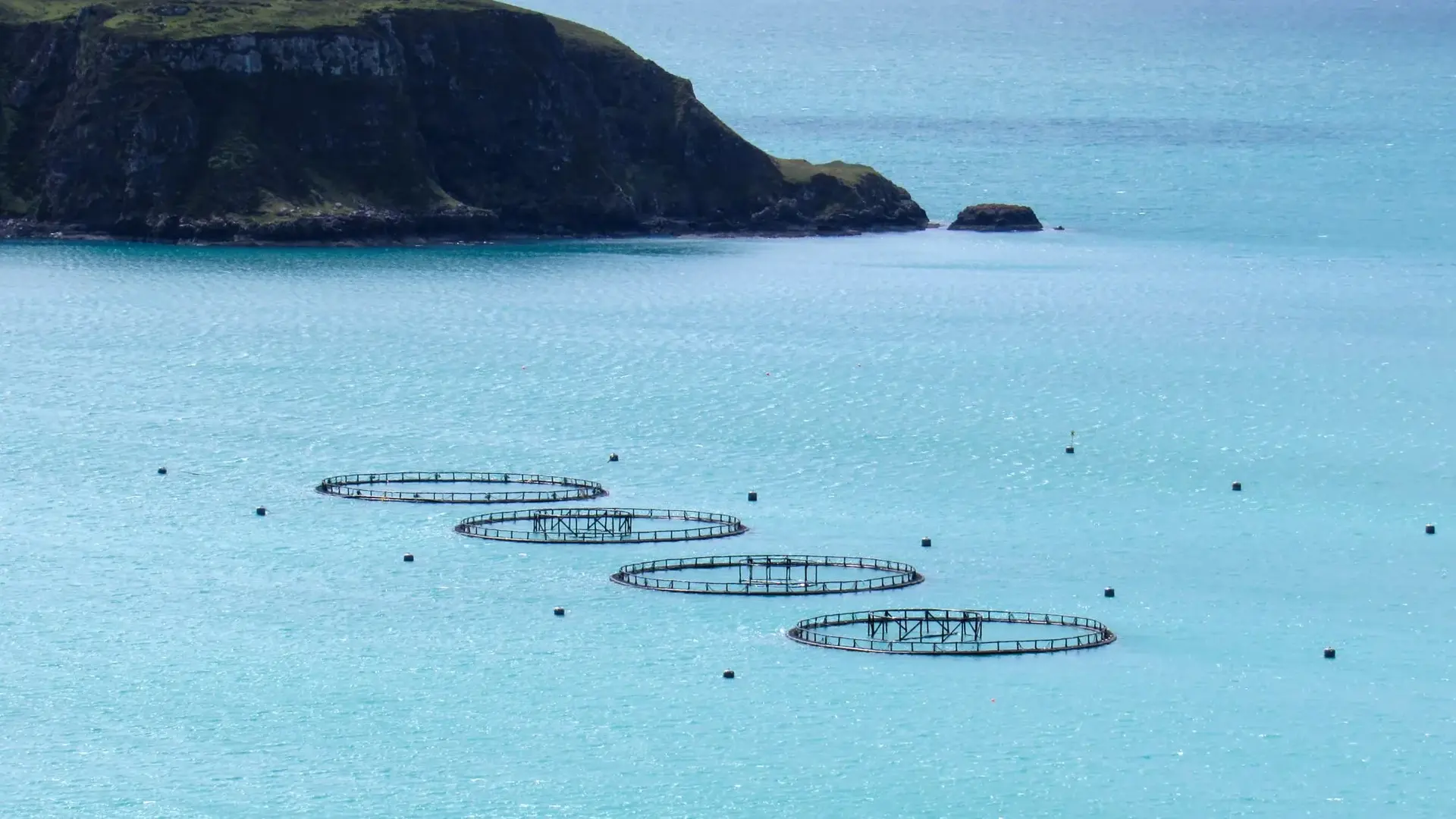 Aerial view of fish farms off the coast of Scotland