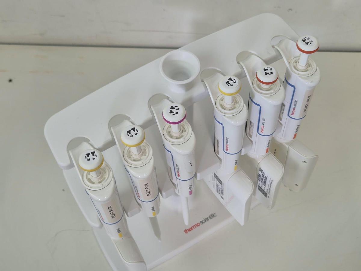 Used Finnpipette F 6 position pipett stand - Pipettes & Pipette Accessories, photo 8