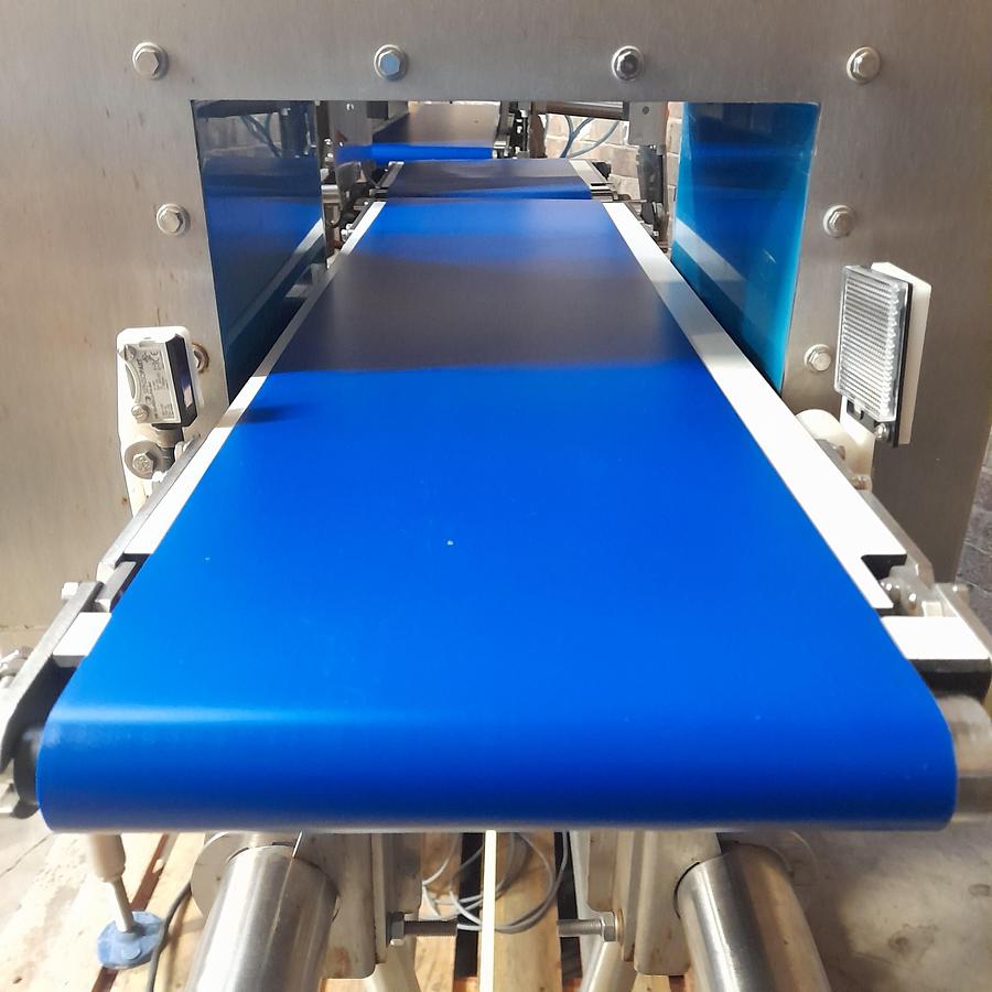 Used Loma Metal Detector Checkweigher & Reject Bins - Checkweighers, photo 3