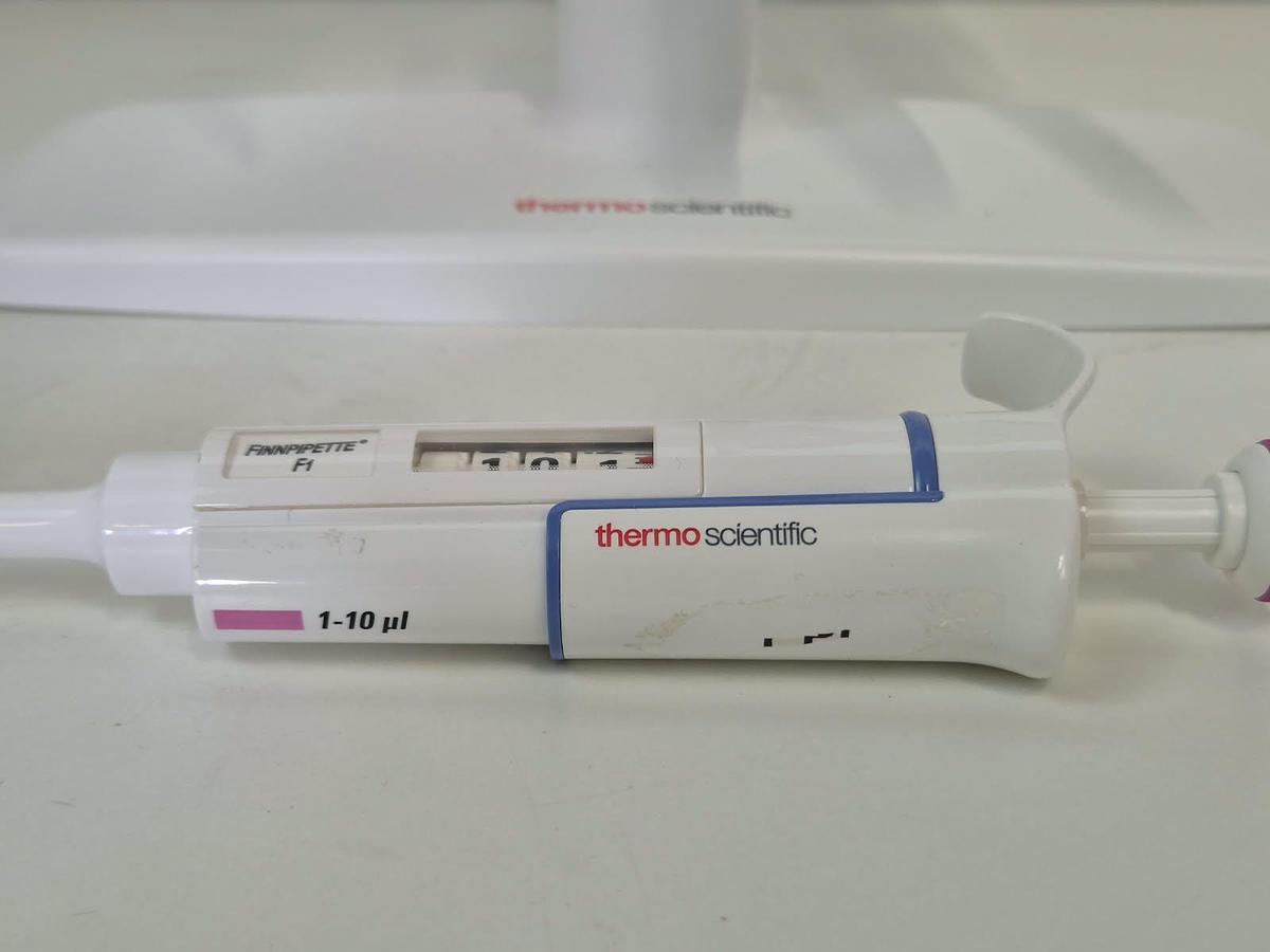 Used Finnpipette F 6 position pipett stand - Pipettes & Pipette Accessories, photo 11