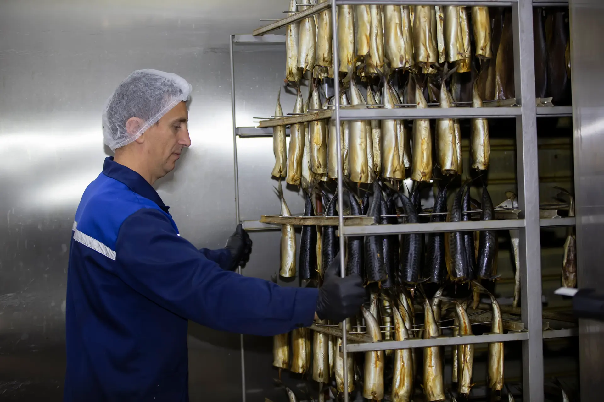 man using fish processing machine