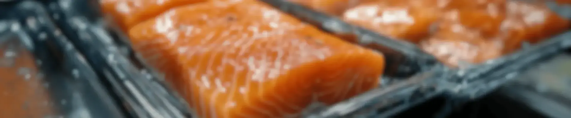 Close-up of fresh salmon fillet portions laid in trays on a seafood processing line