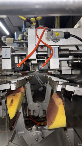 Used 2022 Qinyao/Top Y Machinery Volumetric Filler with Pouch Filling/Sealing Machine - Filling Machines, photo 12