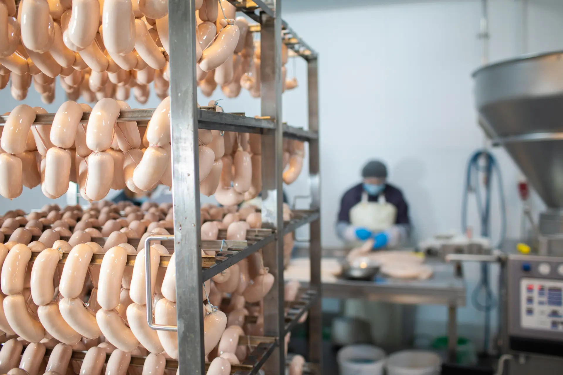 Key Factors When Choosing Poultry Processing Equipment