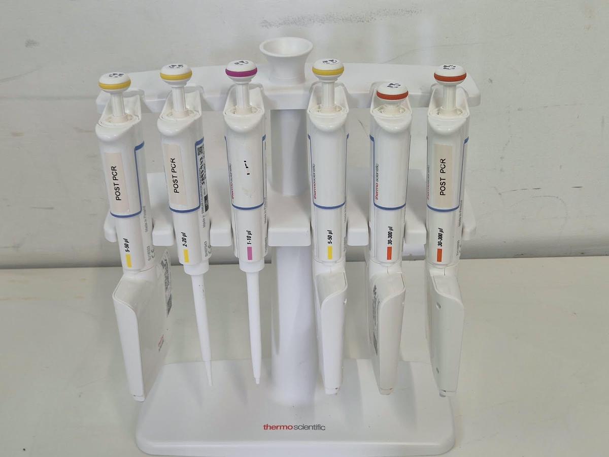 Used Finnpipette F 6 position pipett stand - Pipettes & Pipette Accessories, photo 3