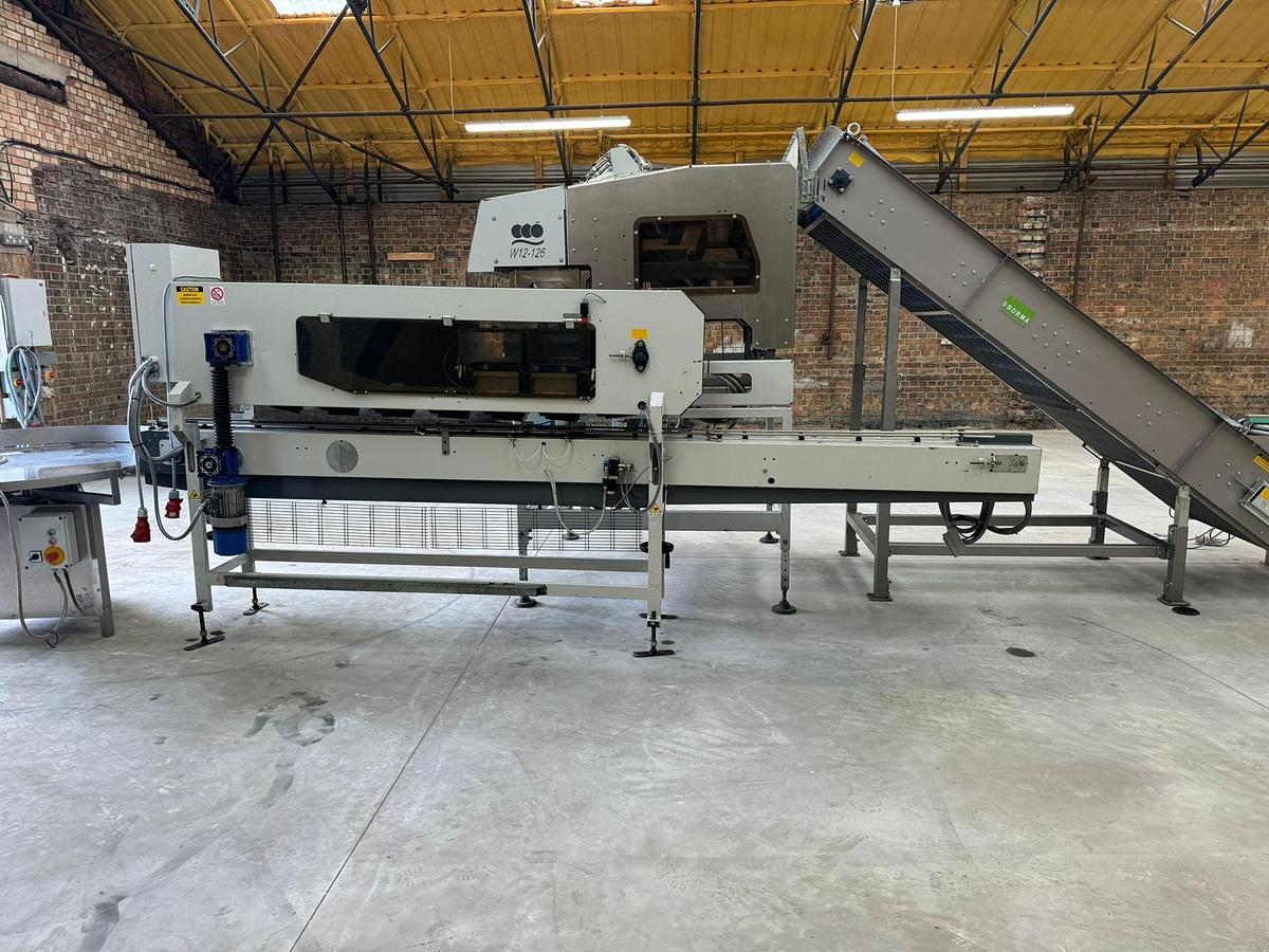Used COMPLETE LINE: Sorma W12-126 Linear 12 Lane Multihead Weigher - Sorting & Grading Equipment, photo 9