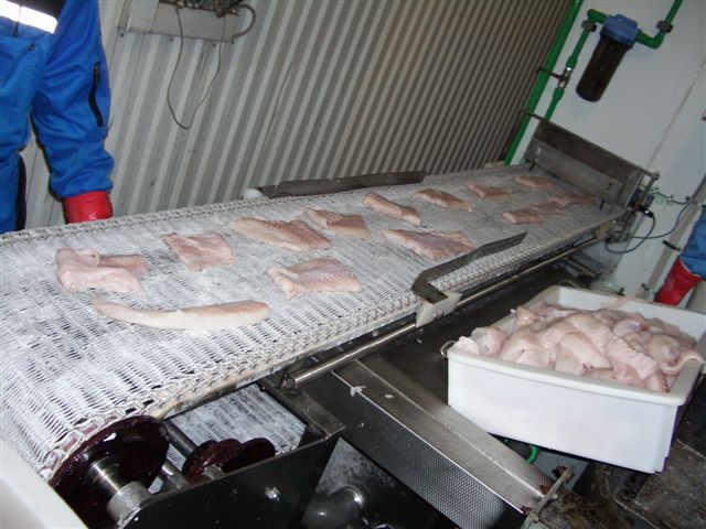 Used Frigoscandia Midget 118-405 - Spiral Freezers, photo 4