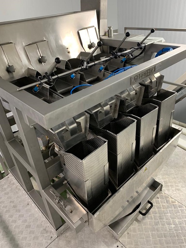 Used Radpak Linear Weigher Bagging Line - Filling Machines, photo 8
