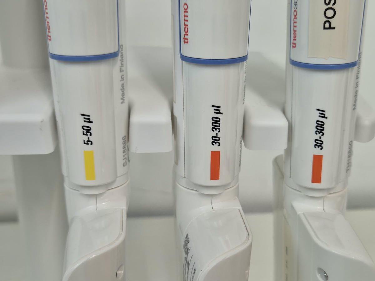 Used Finnpipette F 6 position pipett stand - Pipettes & Pipette Accessories, photo 9