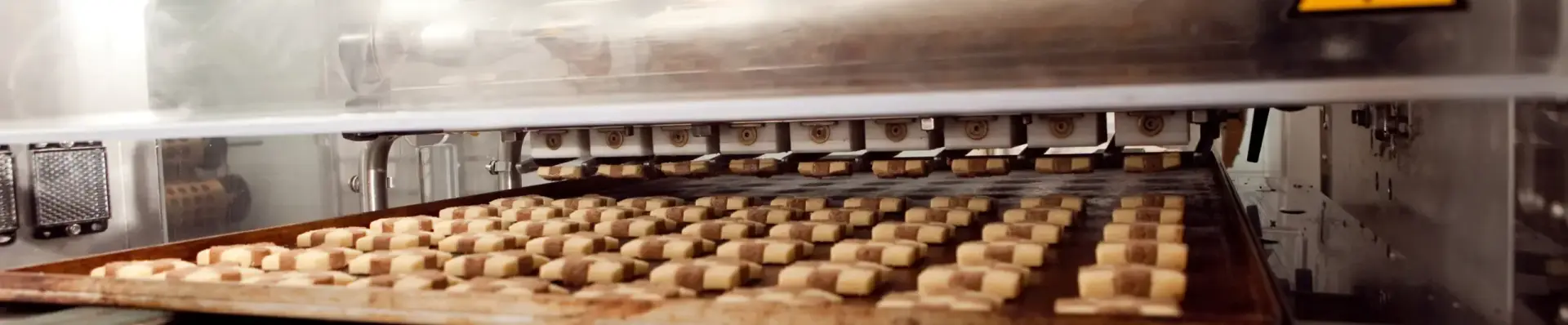 Rows of cookie dough pieces on a tray beneath the depositor nozzles of a cookie-making machine
