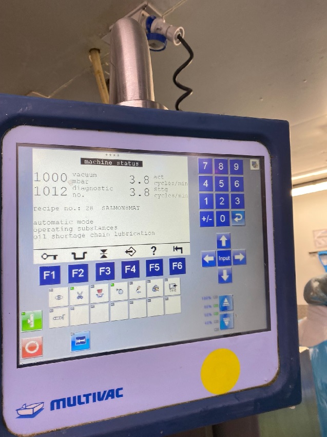 Used Multivac R570 Skin Packer - Vacuum Packaging, photo 2