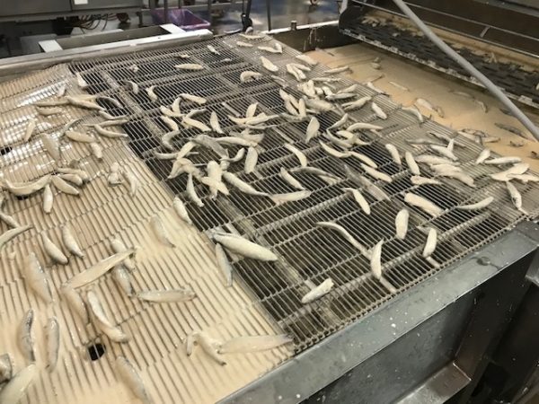 Used Koppens 900mm Batter and Breader - Meat Coating, photo 3
