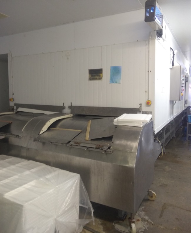 Used Torry IQF Twin Belt Freezer - IQF (Individual Quick Freezing) Systems, photo 2