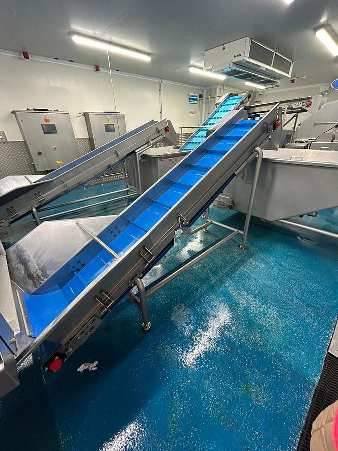 Complete Used Peeling Line - Washers & Peelers, photo 7