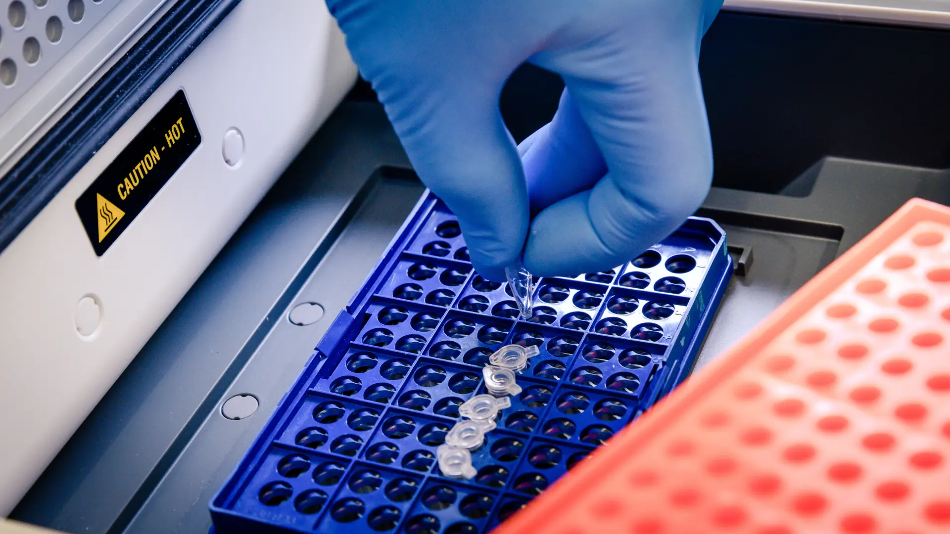 PCR Thermal Cyclers: What Labs Should Know Before Buying Used
