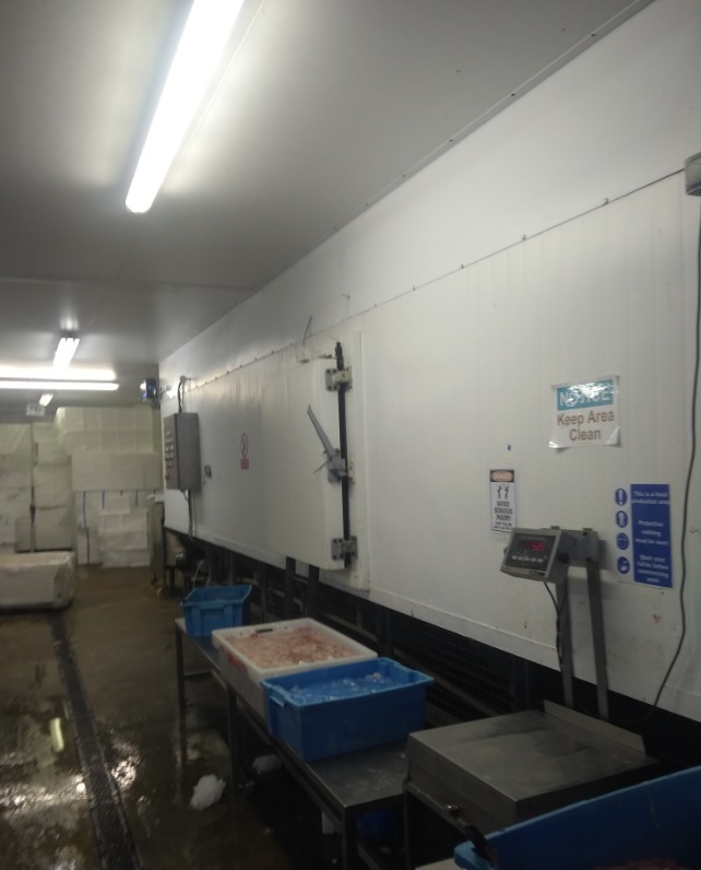 Used Torry IQF Twin Belt Freezer - IQF (Individual Quick Freezing) Systems, photo 6