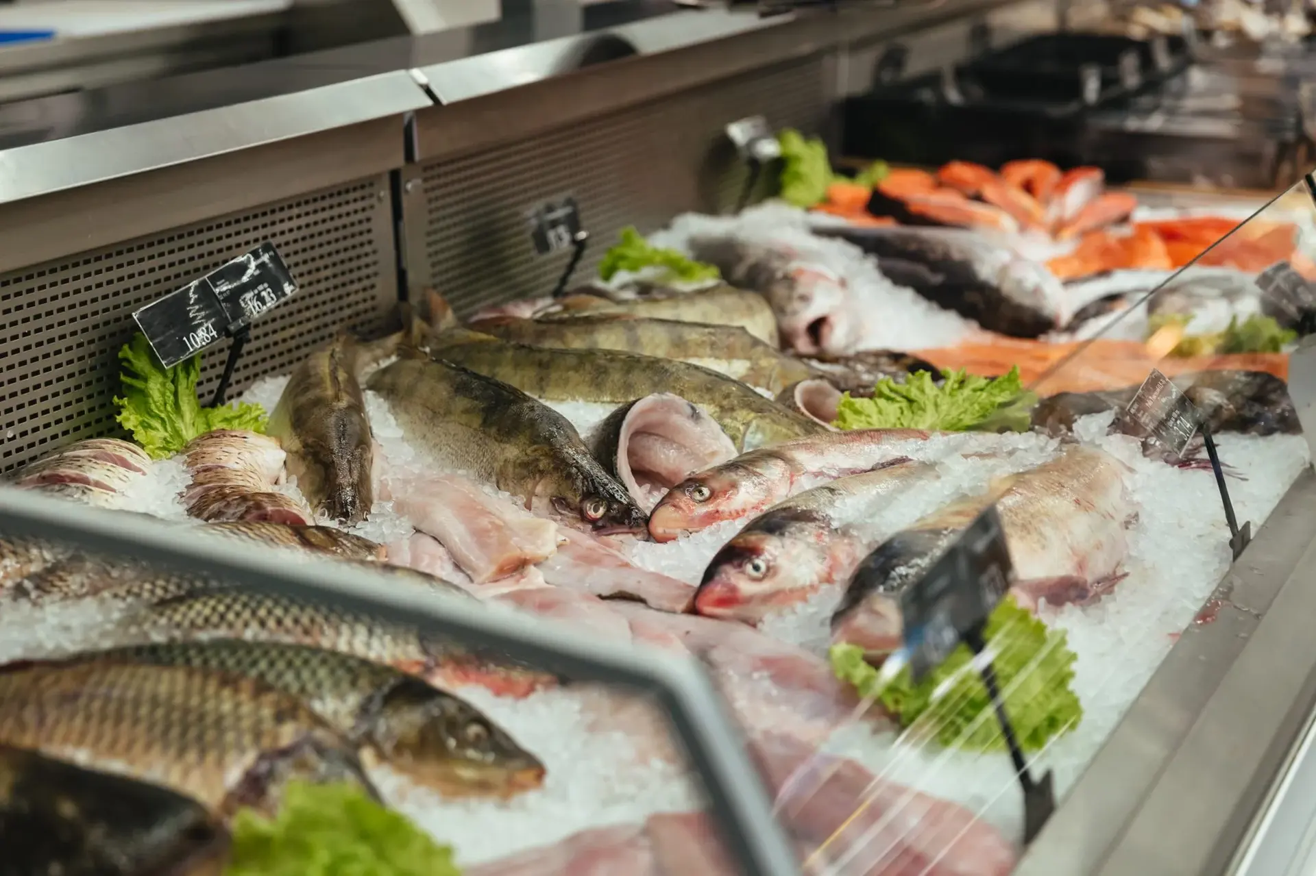 Showcase filled with raw fish sorted for sale