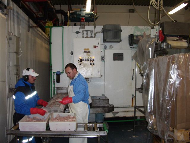 Used Frigoscandia Midget 118-405 - Spiral Freezers, photo 3