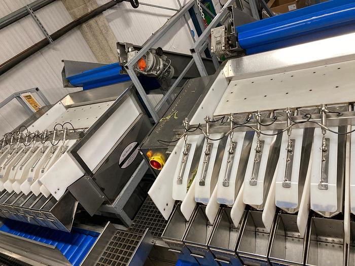Used COMPLETE LINE: Newtec Weighing Line with Illapak Bagger - Filling Machines, photo 3