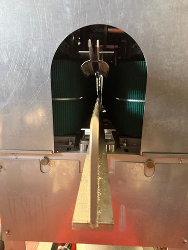 Used Tsunezawa Group TAF-BG Filleting Machine - Filleting Machines, photo 5