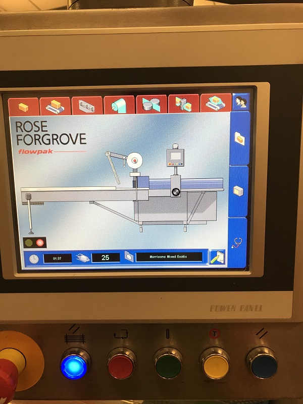 Used Roseforgrove Flow Wrapper - Form-Fill-Seal Machines, photo 2