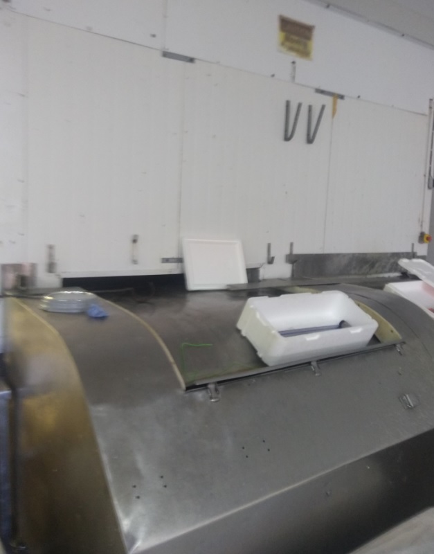 Used Torry IQF Twin Belt Freezer - IQF (Individual Quick Freezing) Systems, photo 7