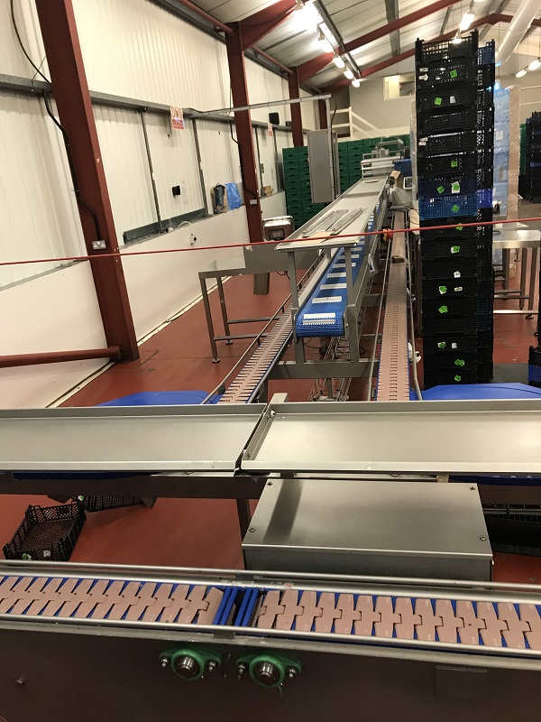 Used Roseforgrove Flow Wrapper - Form-Fill-Seal Machines, photo 14