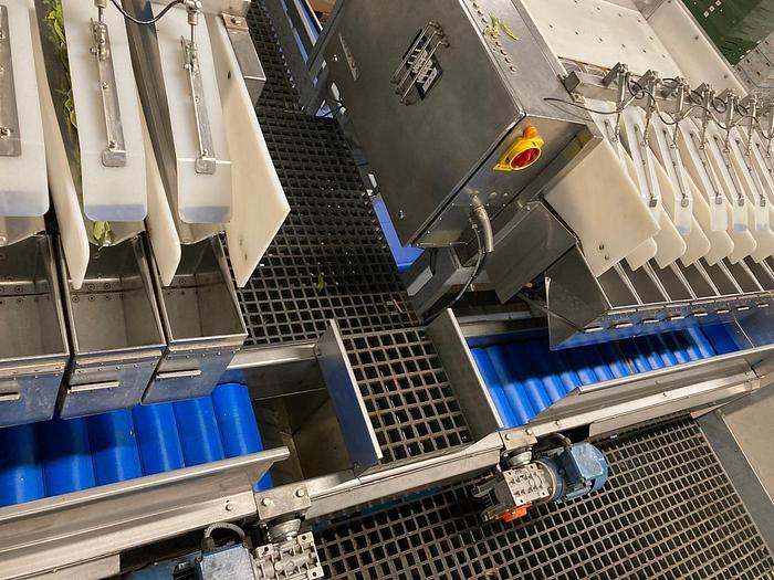 Used COMPLETE LINE: Newtec Weighing Line with Illapak Bagger - Filling Machines, photo 6