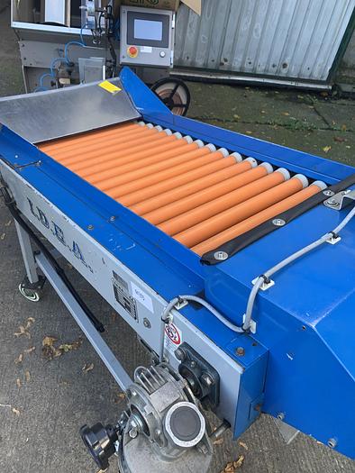 Used Sorting Line - Conveyor - Sorting & Grading Equipment, photo 3