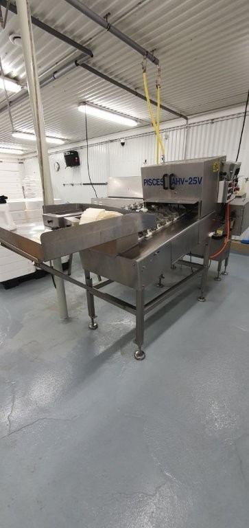 Used Pisces FR200 Fish Filleting Machine - Fish Equipment, photo 16