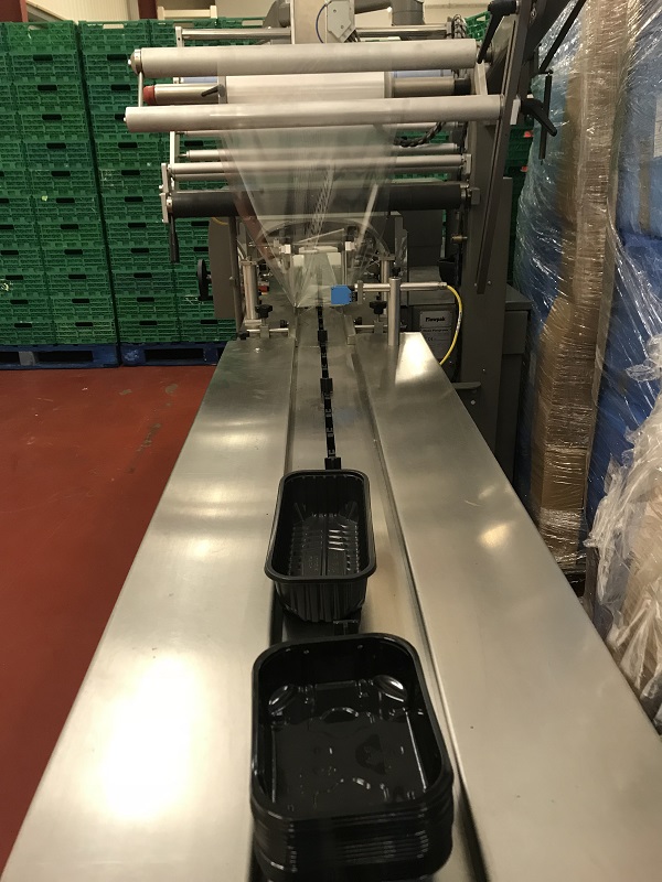 Used Roseforgrove Flow Wrapper - Form-Fill-Seal Machines, photo 11