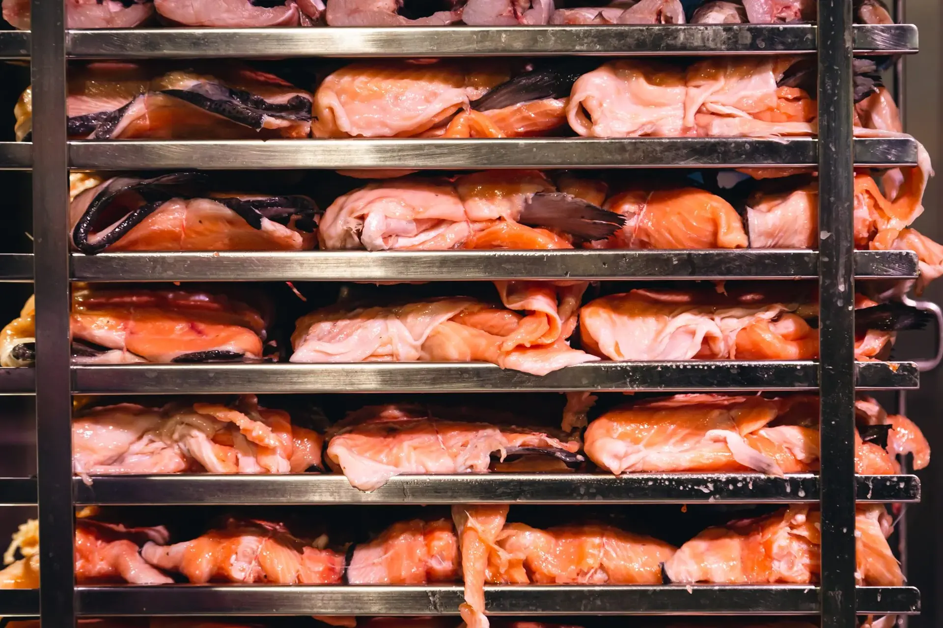 Racks of salmon in a small smoker