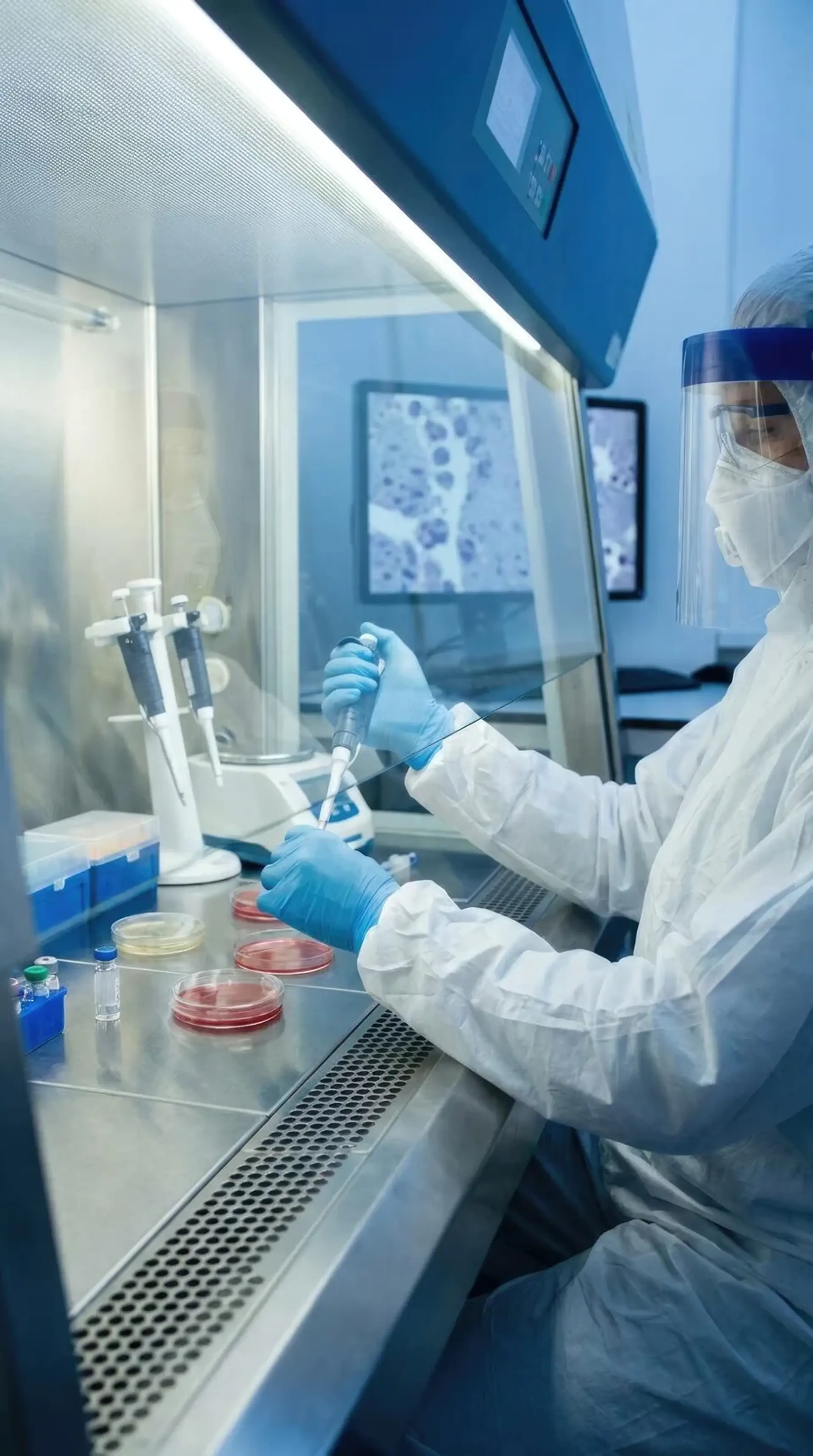 Scientist in protective clothing and a face shield pipetting samples inside a biosafety cabinet