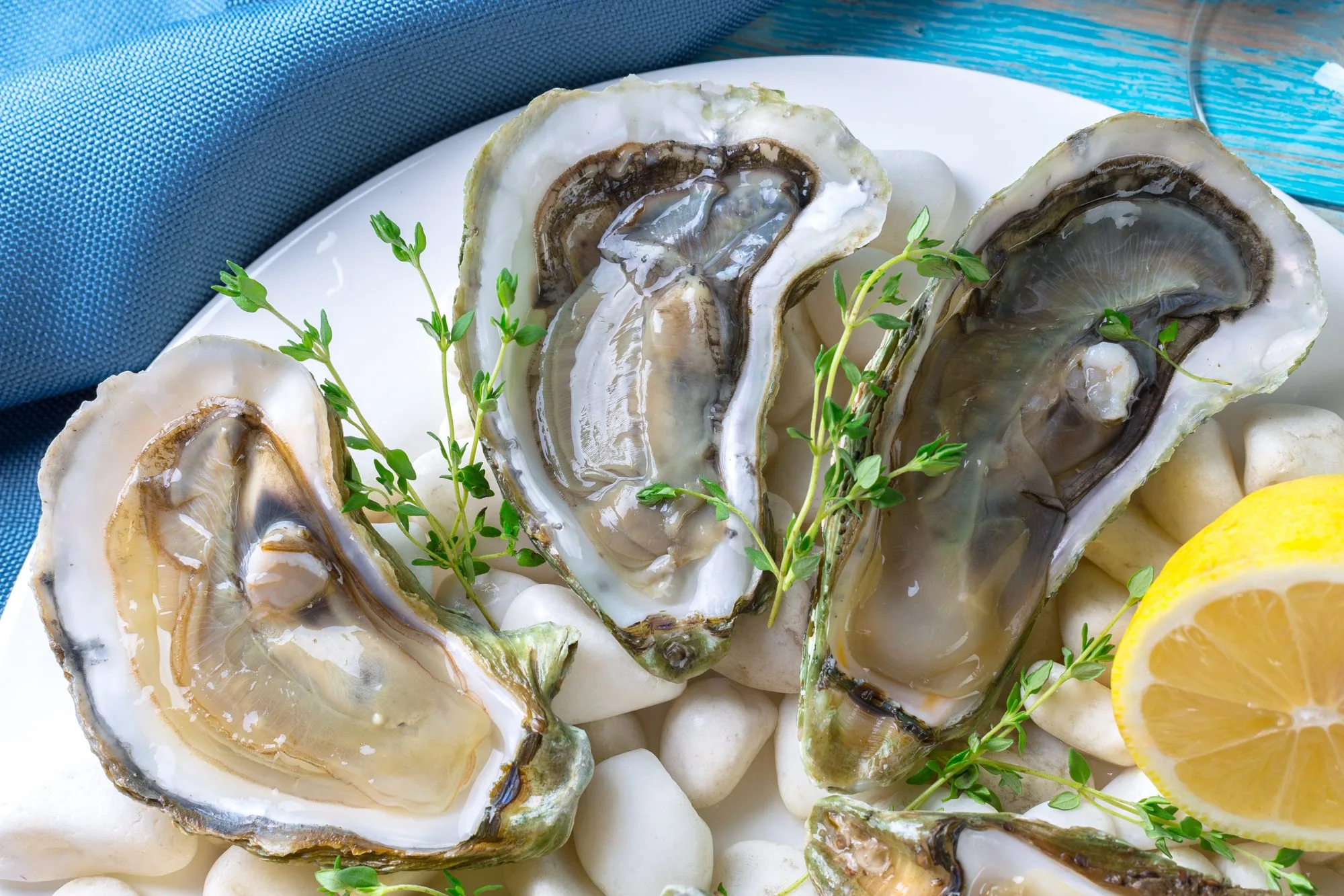 Raw oysters served on ice with lemon
