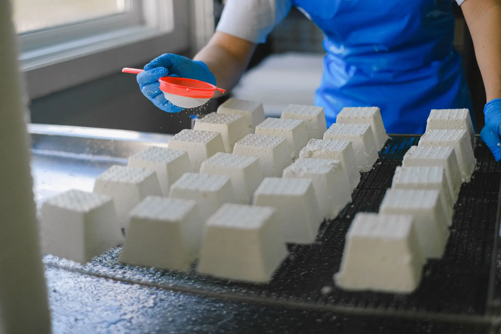 Cheese Making Equipment: A Buyer's Guide for Dairies and Creameries