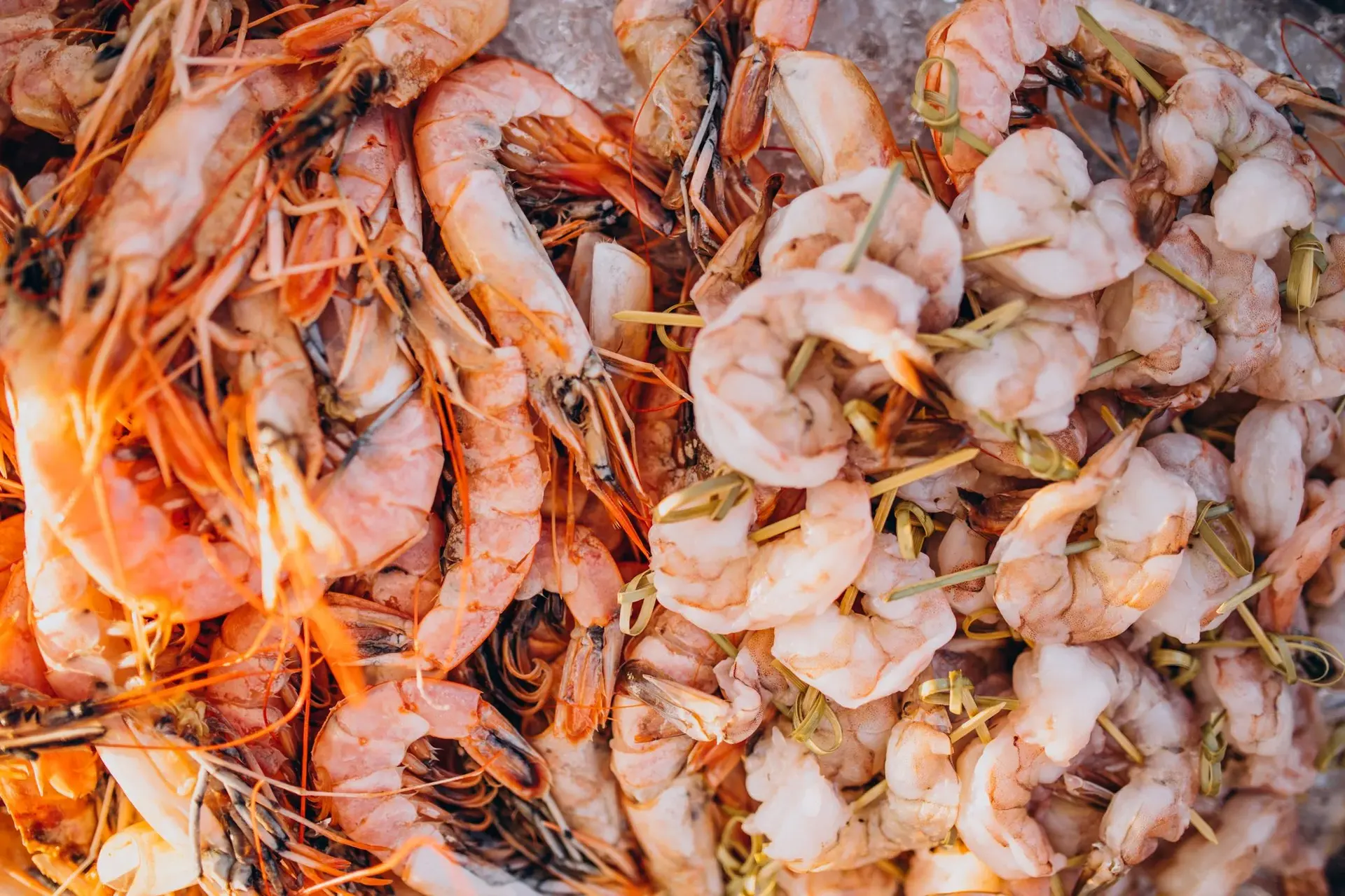 Frozen tiger shrimp